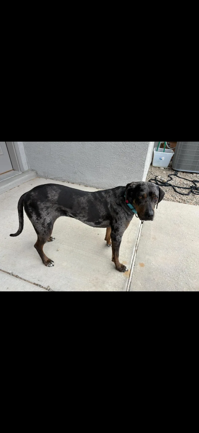 Marlene Jj thumbnail 3