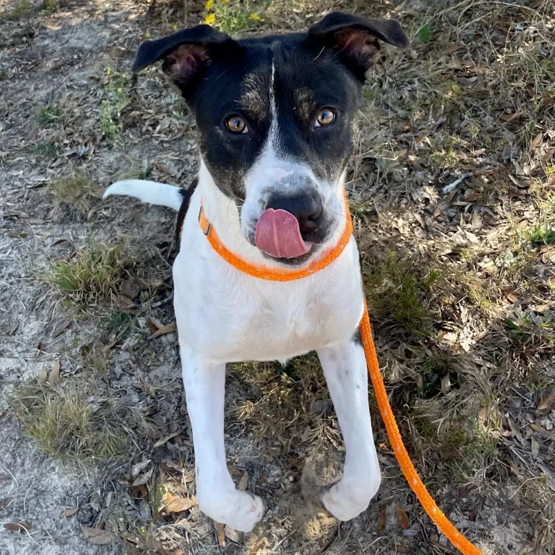 Hm Nissan thumbnail 2