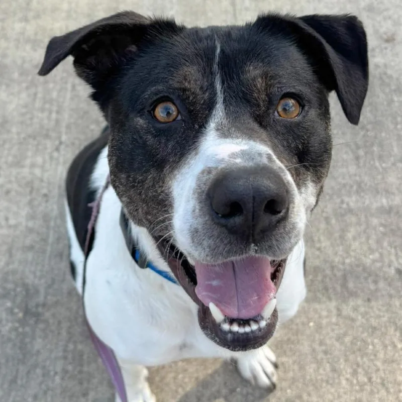 Hm Nissan thumbnail 3