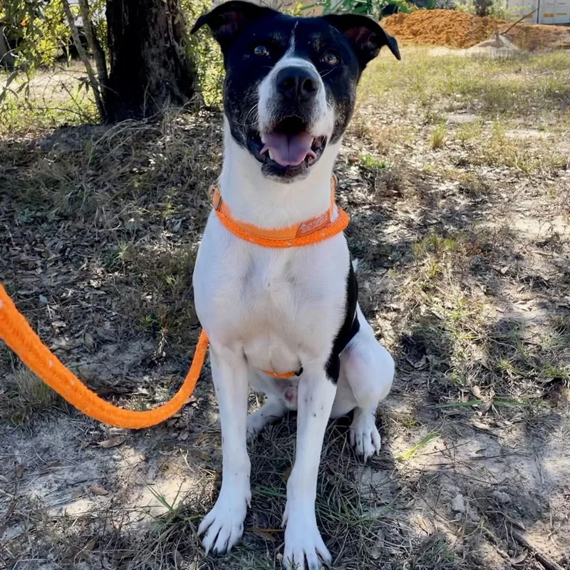 Hm Nissan thumbnail 4