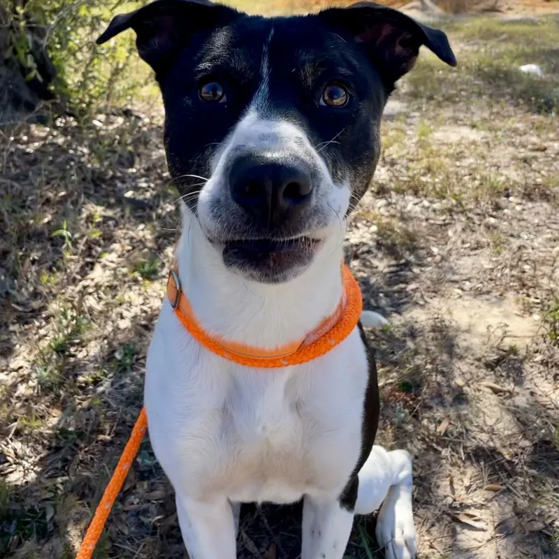 Hm Nissan thumbnail 6