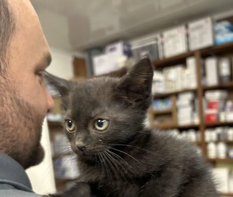 Salem thumbnail 2