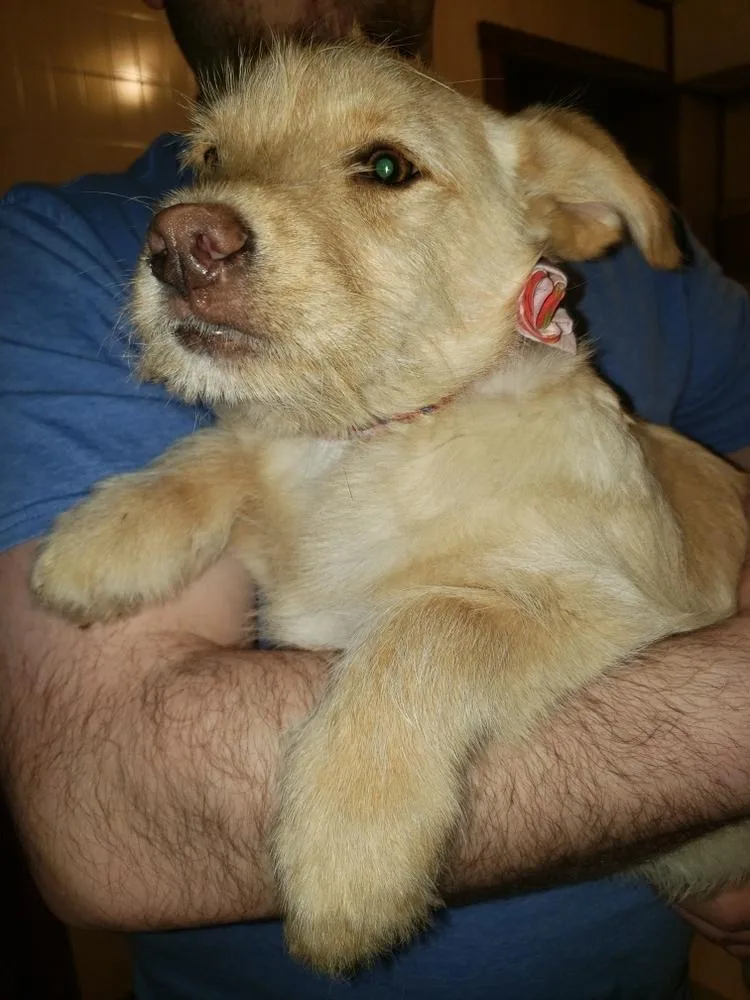 Wednesday Surprise : Scooter