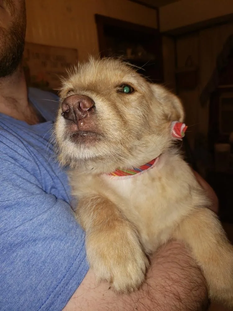 Wednesday Surprise : Scooter thumbnail 2