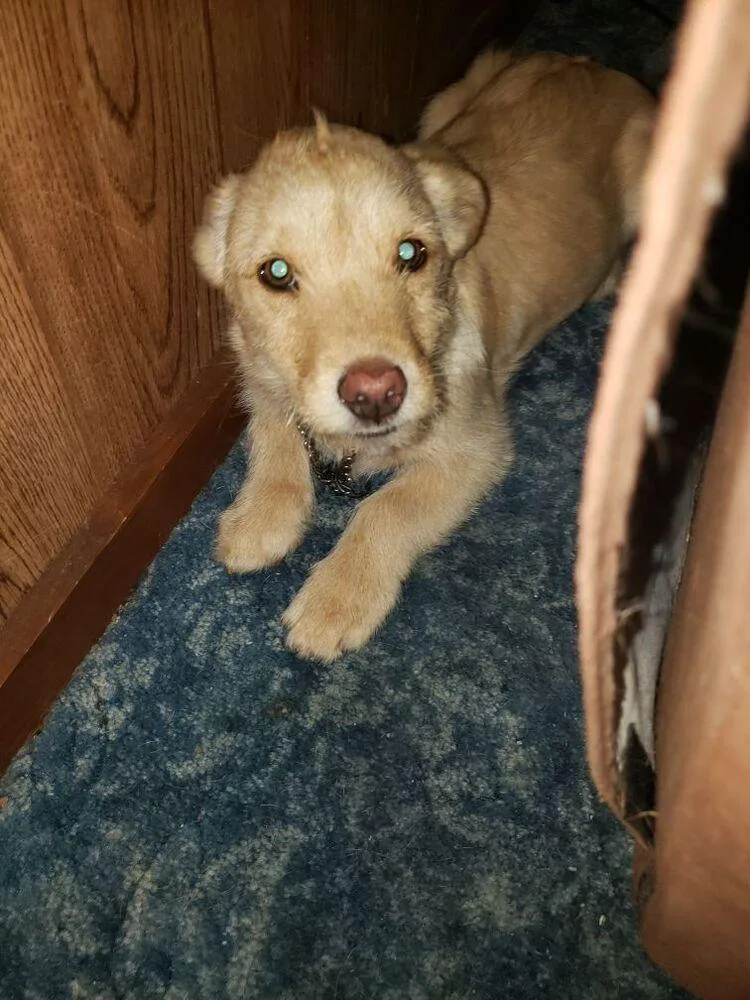 Wednesday Surprise : Scooter thumbnail 3