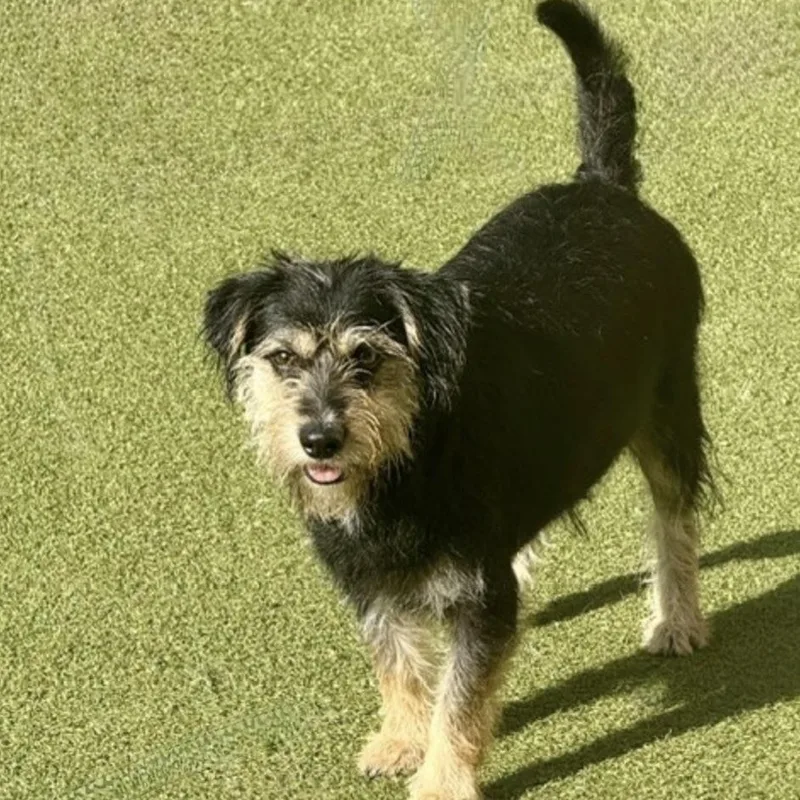Duncan