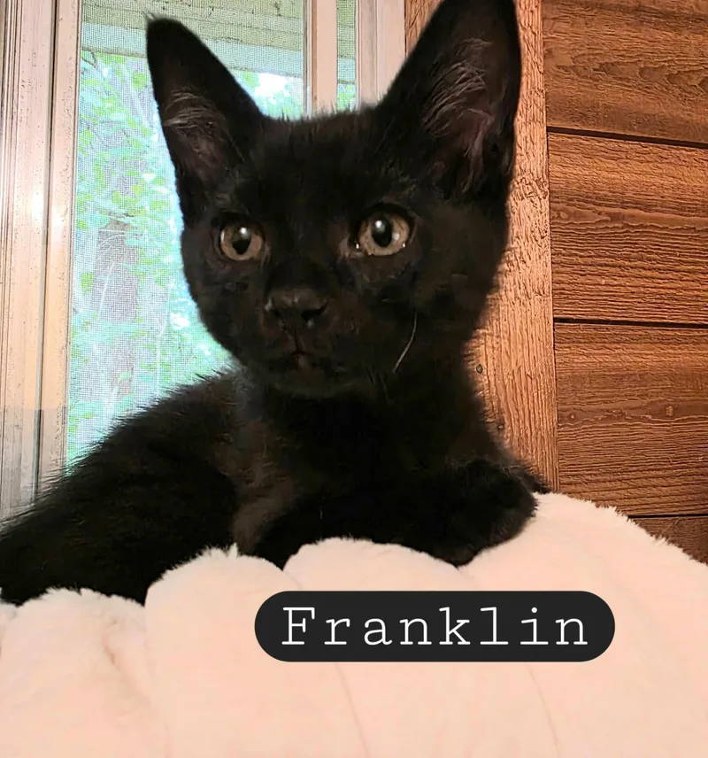 Franklin
