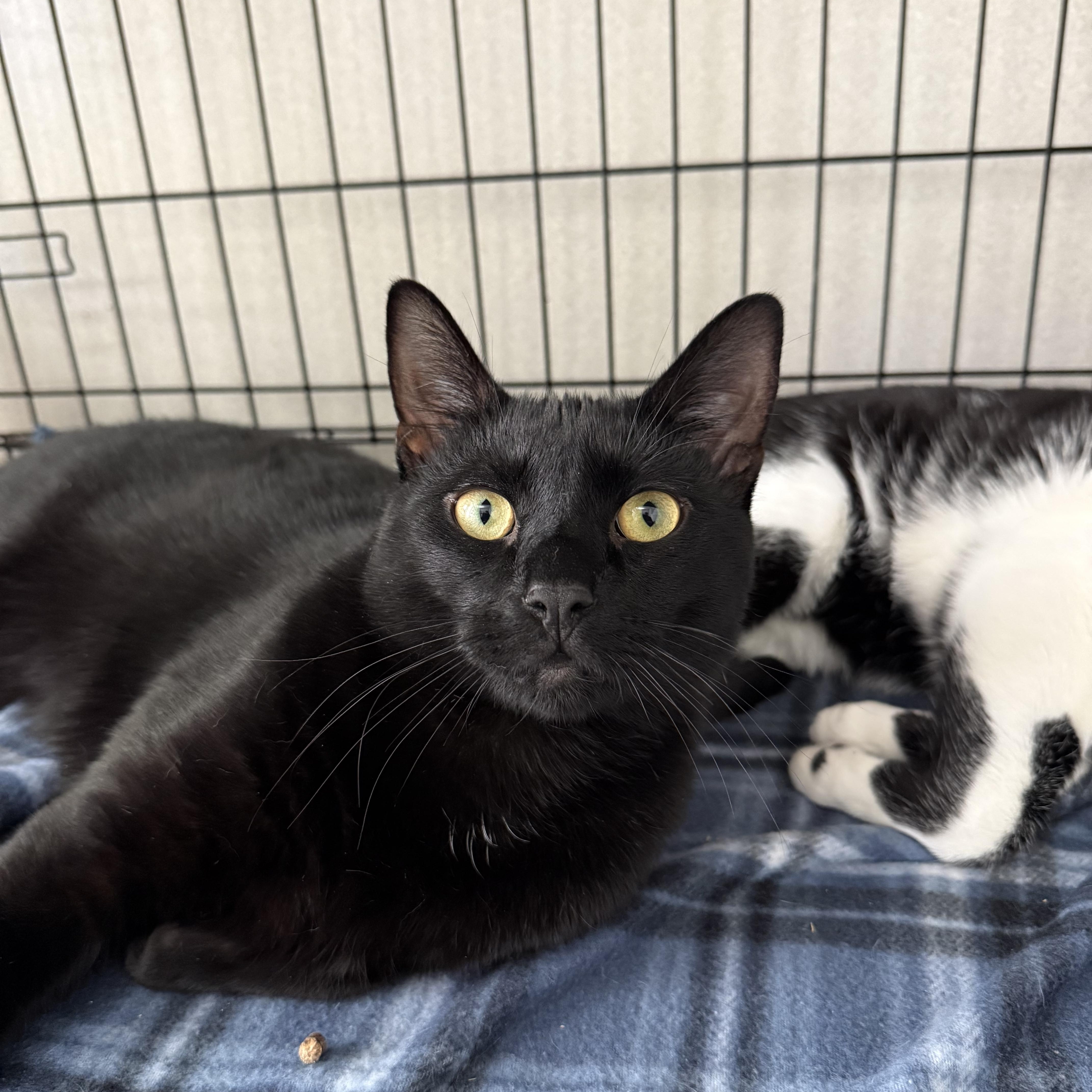 Rupert & Walter thumbnail 2