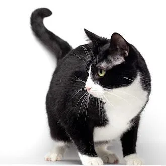 Luna @ Fat Cat thumbnail 5