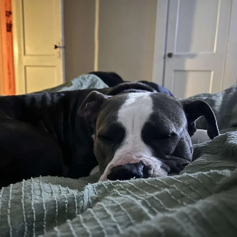 Delilah thumbnail 3