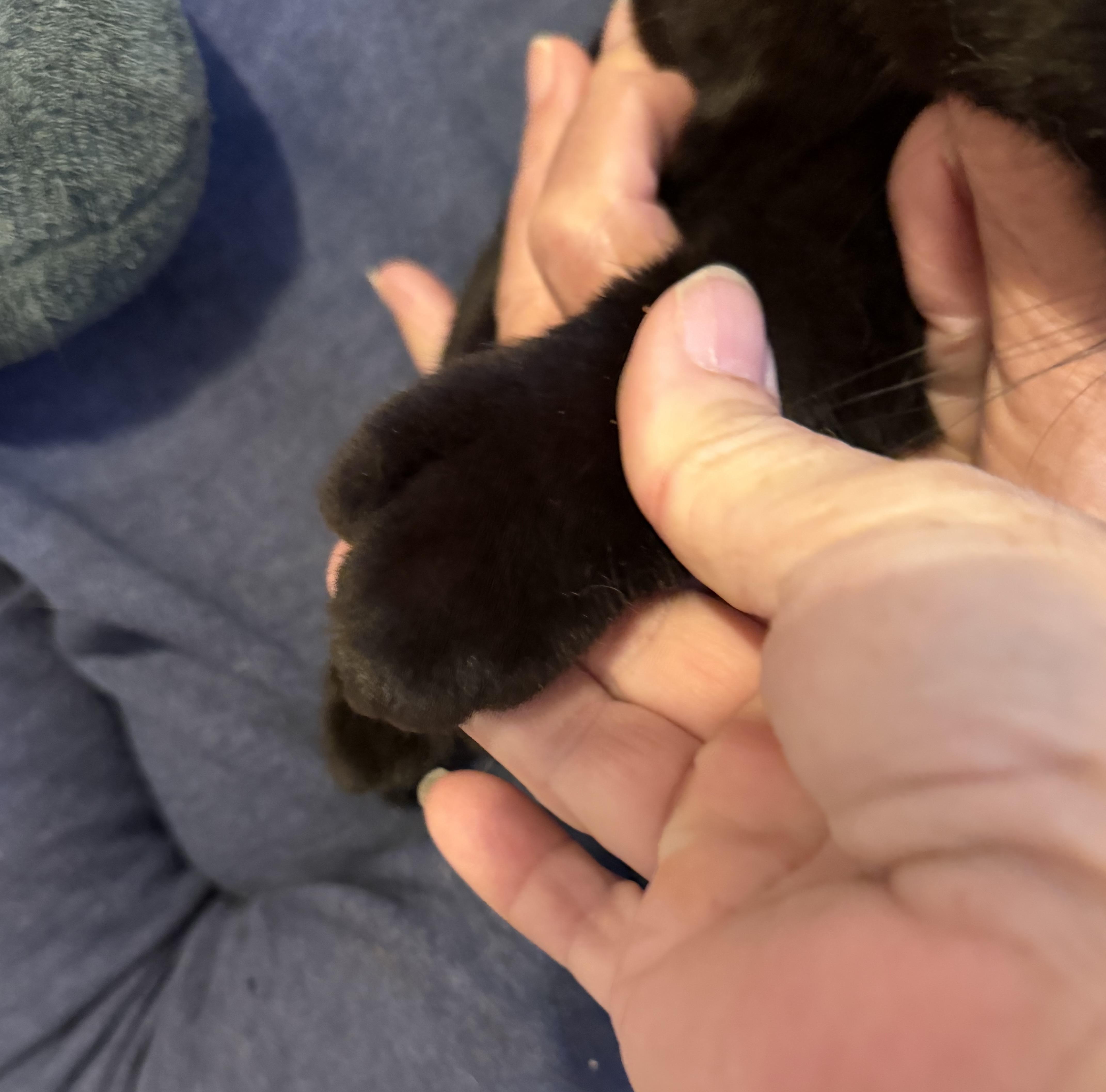 Minnie & Spencer thumbnail 2