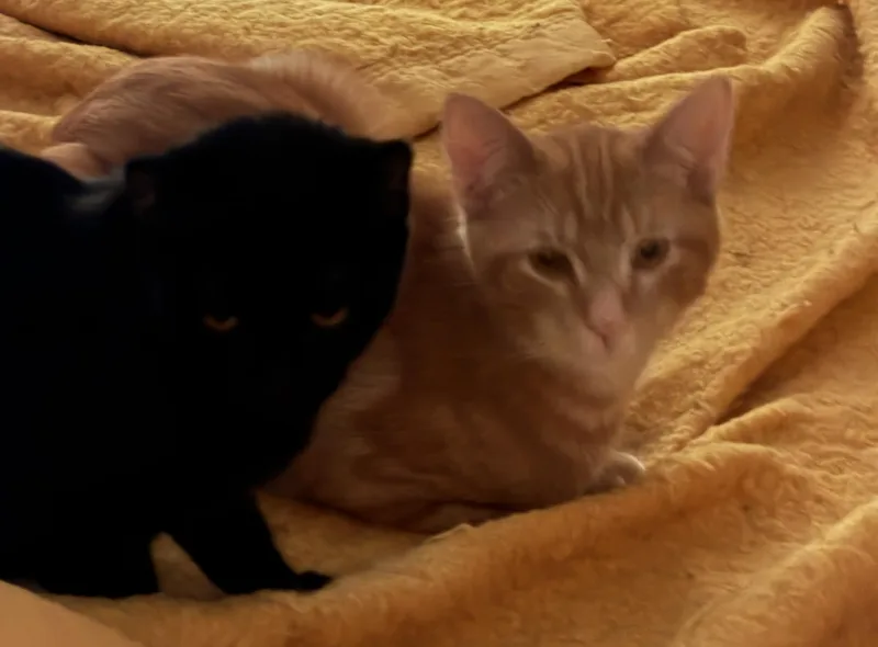 Minnie & Spencer thumbnail 3