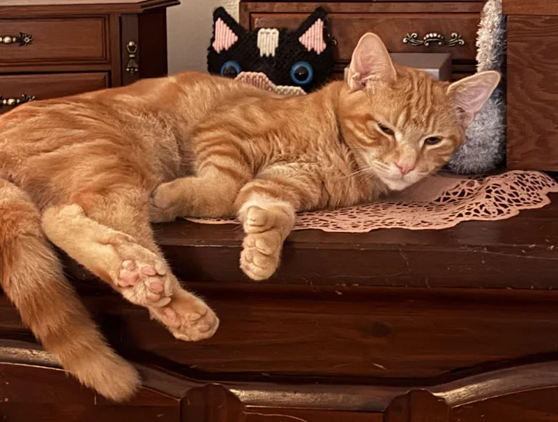 Minnie & Spencer thumbnail 4