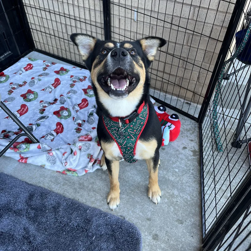 Clark Griswold thumbnail 2