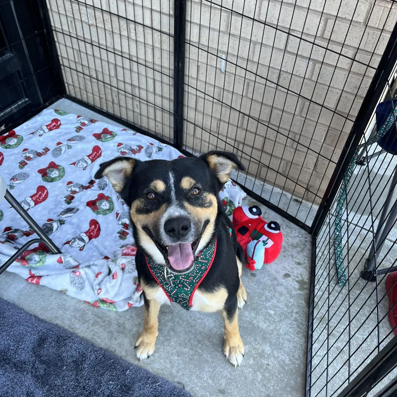 Clark Griswold thumbnail 3