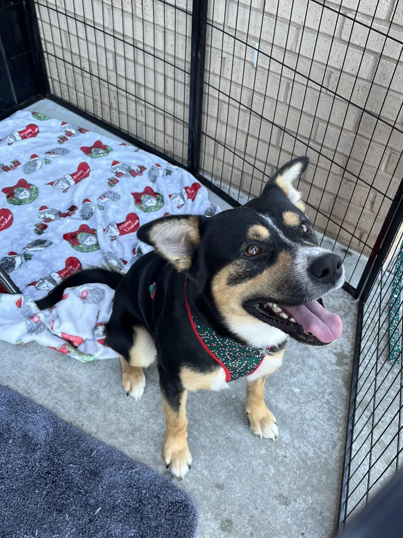 Clark Griswold thumbnail 4