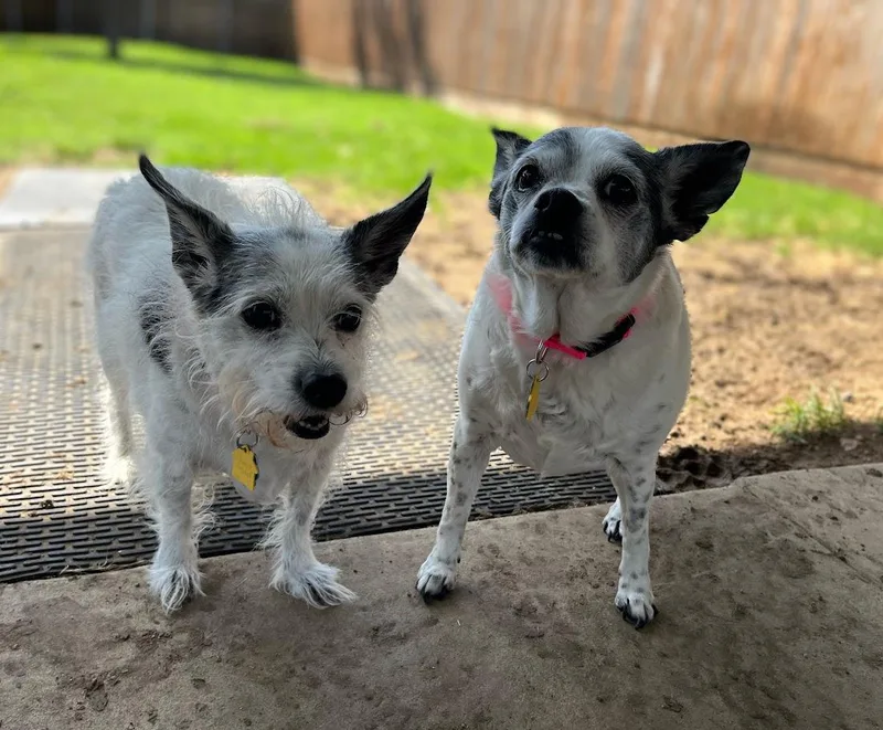 Secret A thumbnail 2