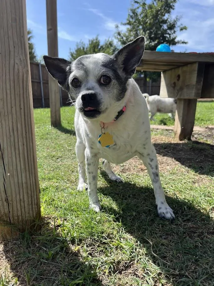 Secret A thumbnail 4