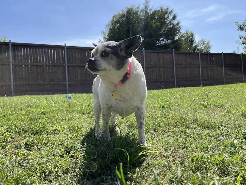 Secret A thumbnail 5