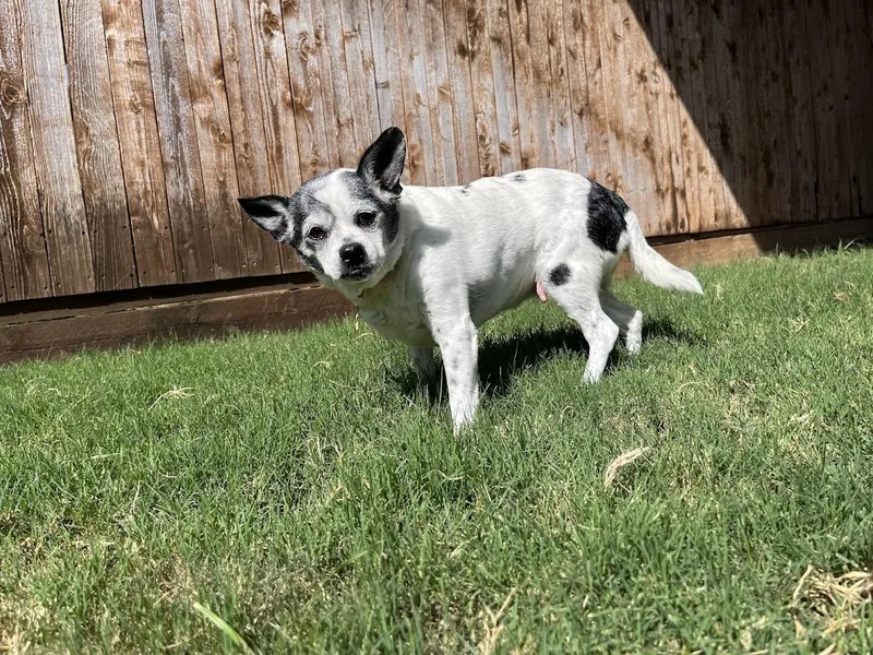 Secret A thumbnail 6