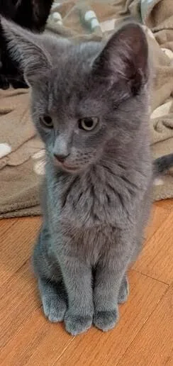 Bonnie Belle