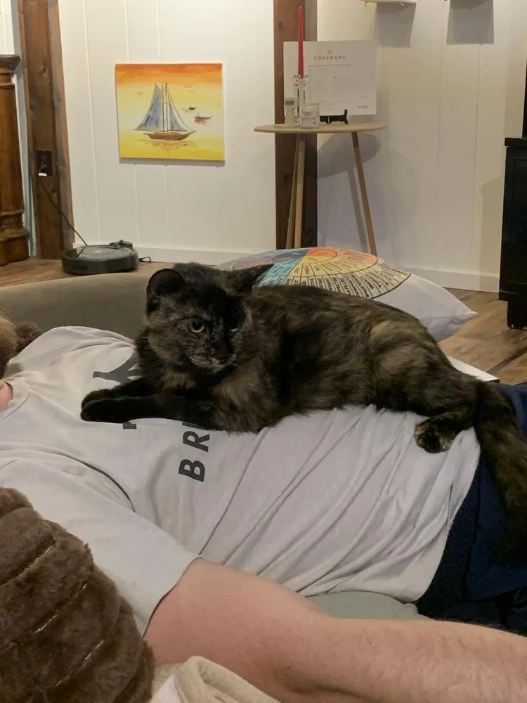 Phoebe thumbnail 2