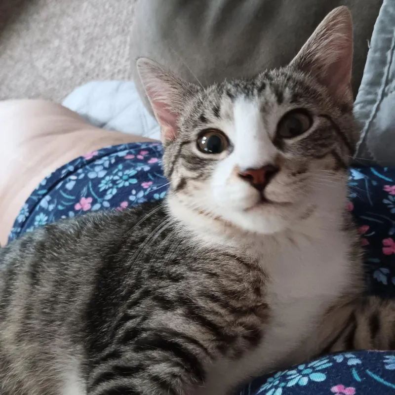 Snuggles thumbnail 2