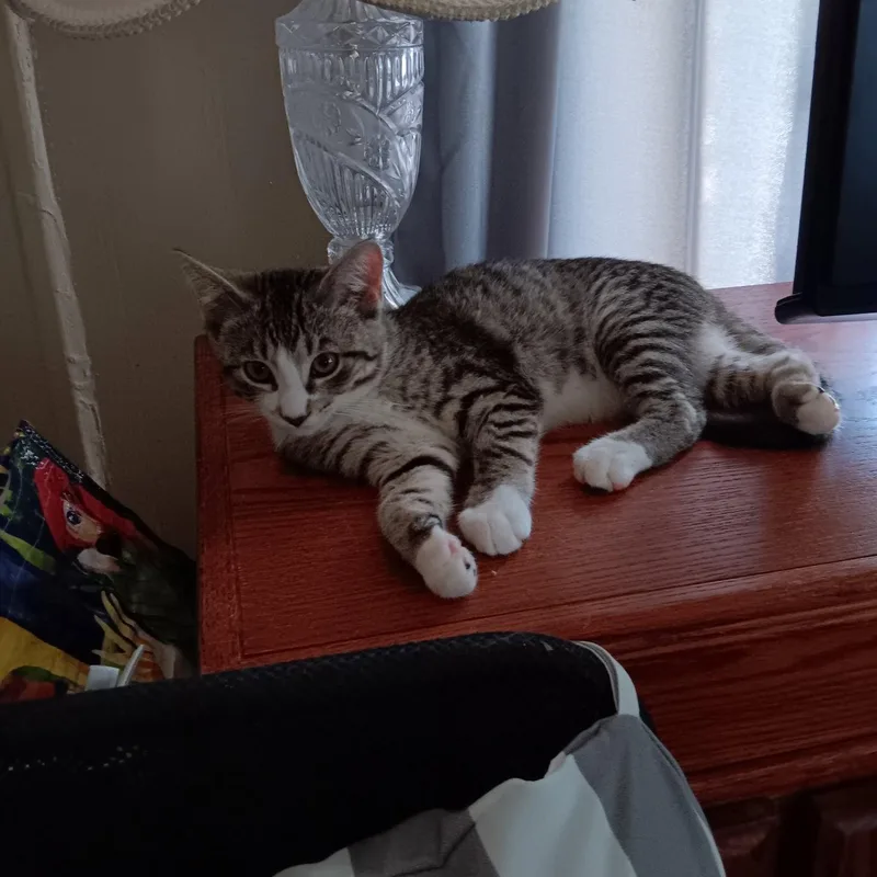 Snuggles thumbnail 3