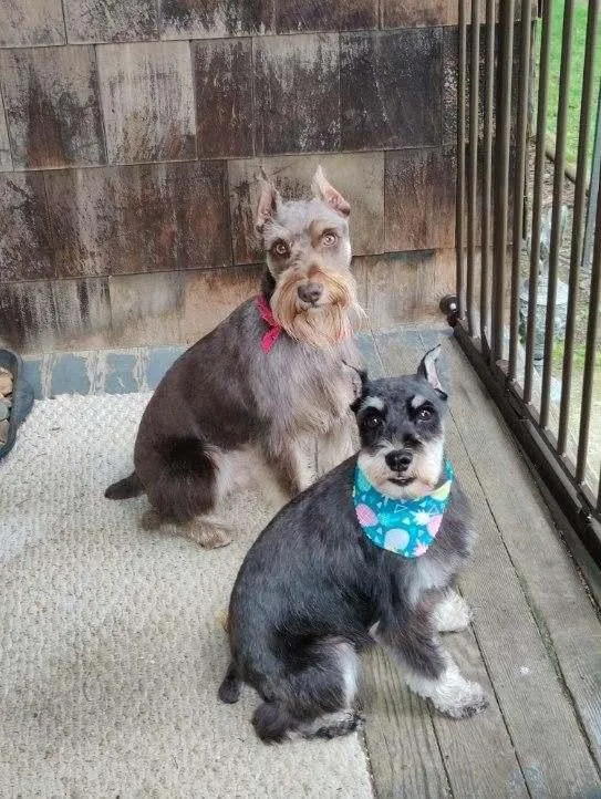 Baron Beau thumbnail 2