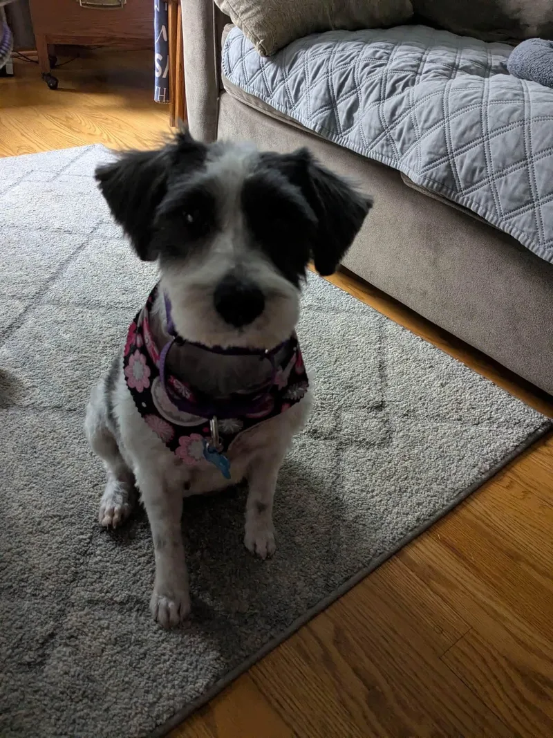 Chloe