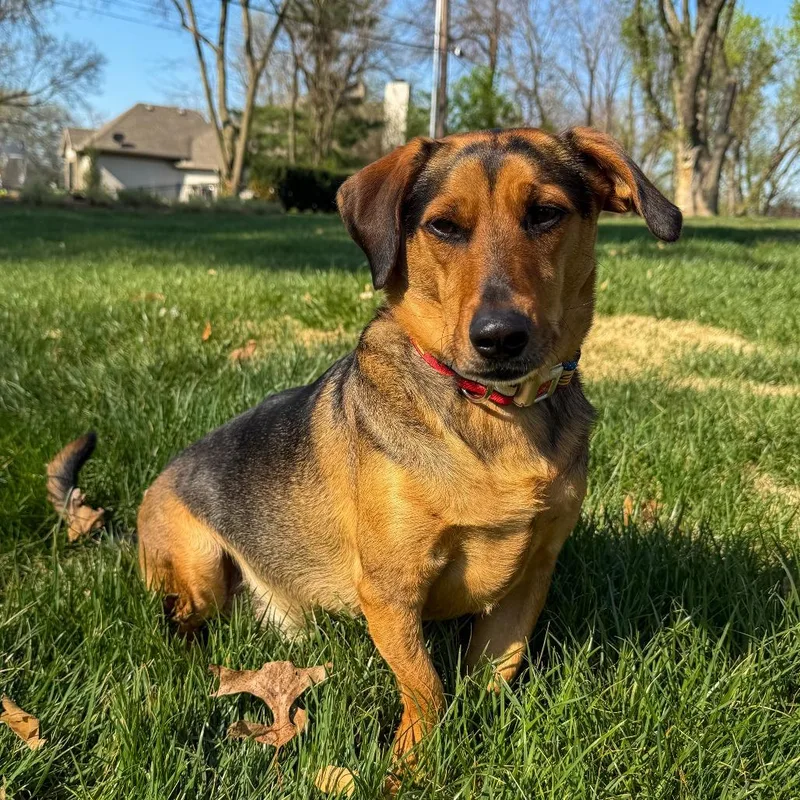 Chaco Taco thumbnail 2