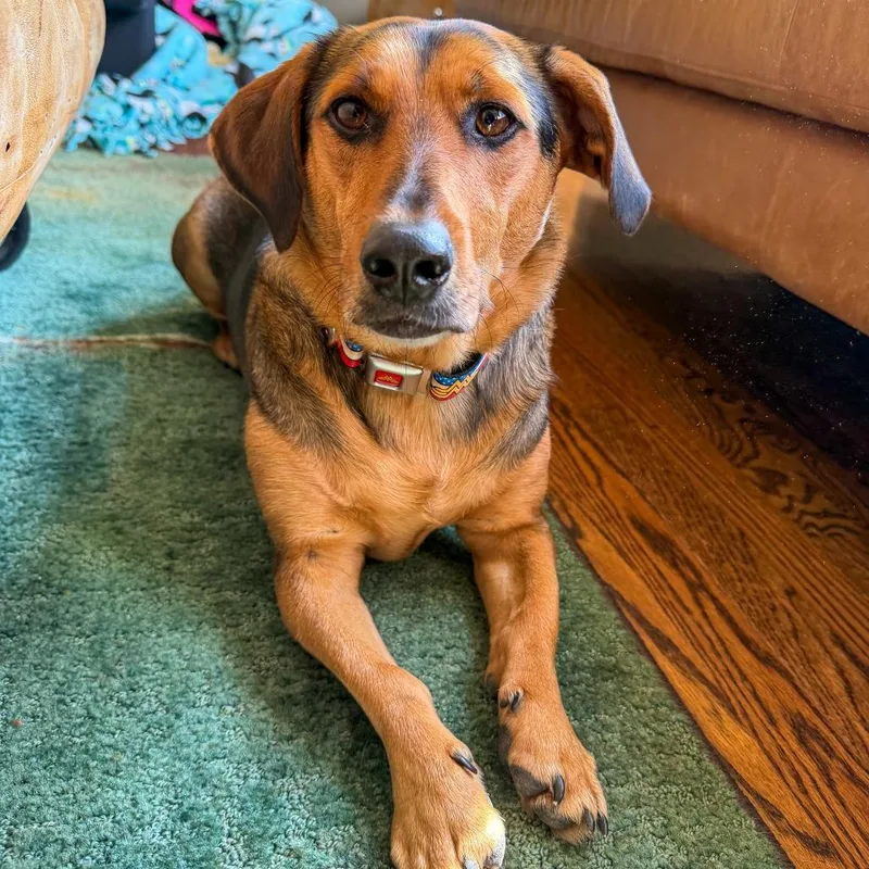 Chaco Taco thumbnail 3