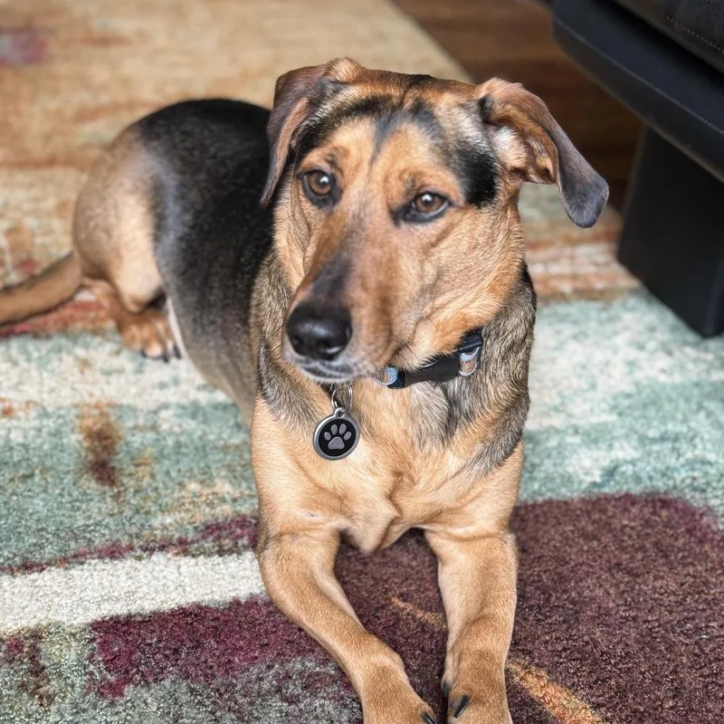 Chaco Taco thumbnail 5