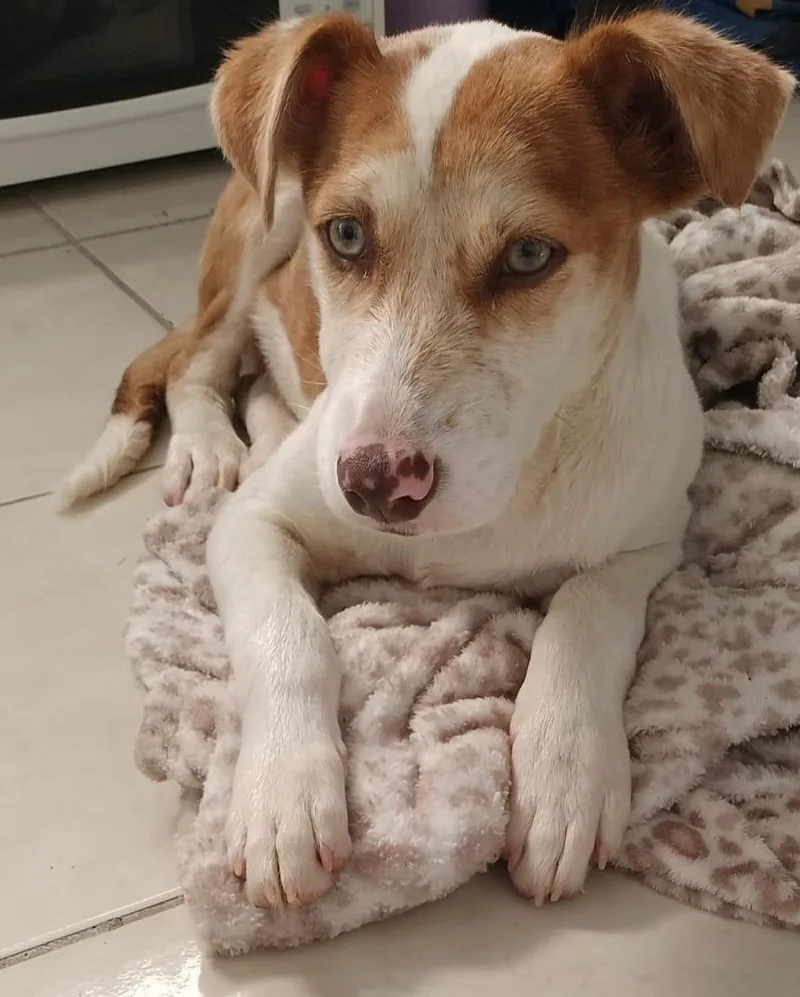 Savannah Blake thumbnail 2