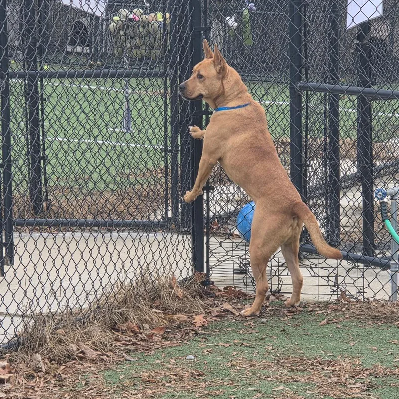 Square Pants thumbnail 2