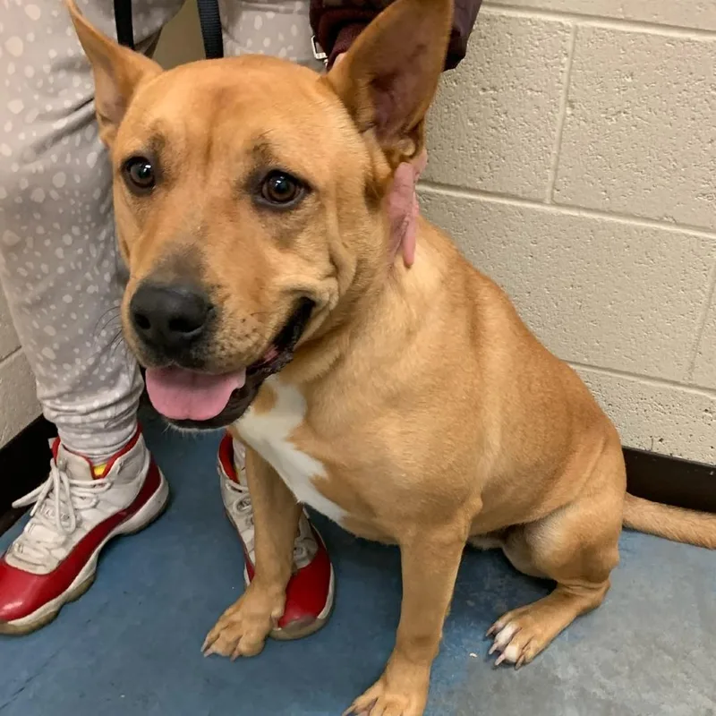 Square Pants thumbnail 3