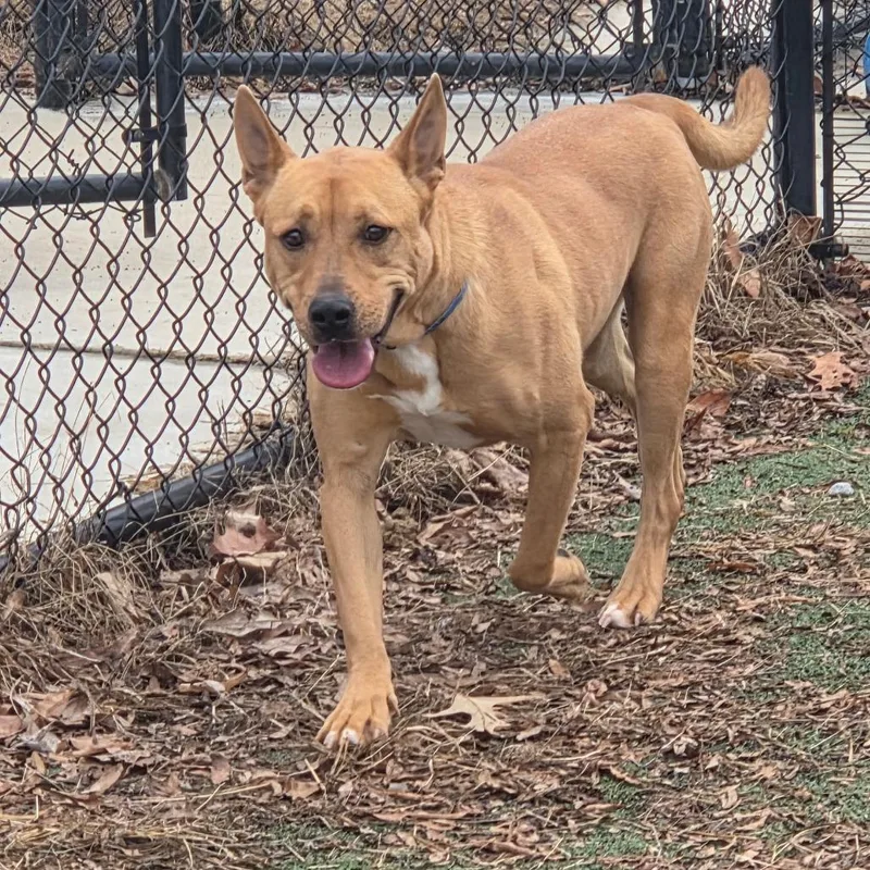 Square Pants thumbnail 4