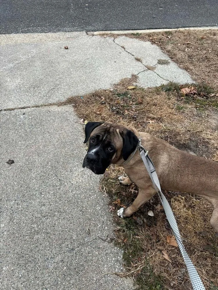 Esco