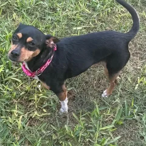 Minnie