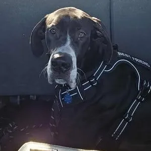 Yellowstone thumbnail 2