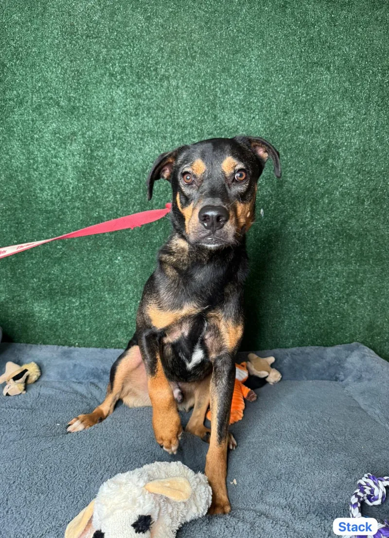 Stack... thumbnail 2