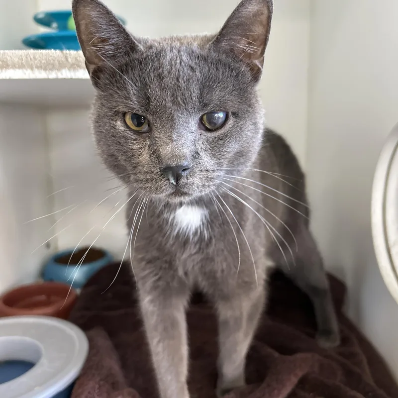 Boston & Dennis thumbnail 2