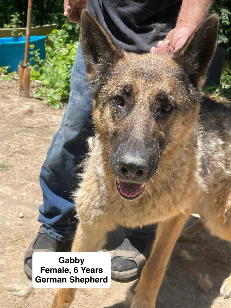 Gabby