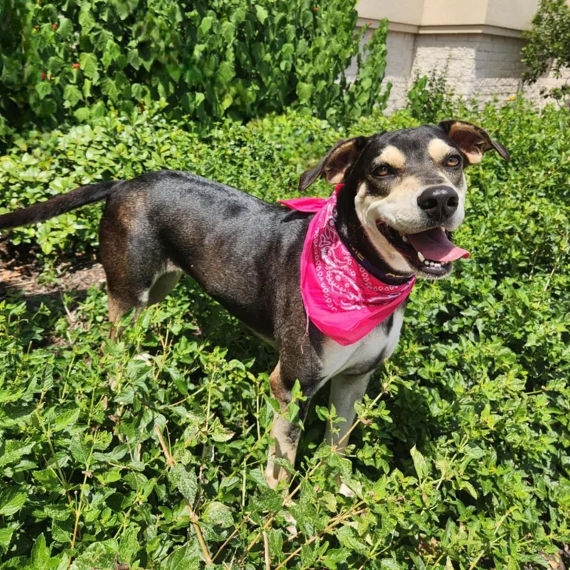 Hilda Jum thumbnail 2