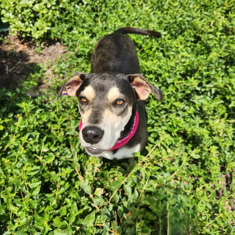 Hilda Jum thumbnail 5