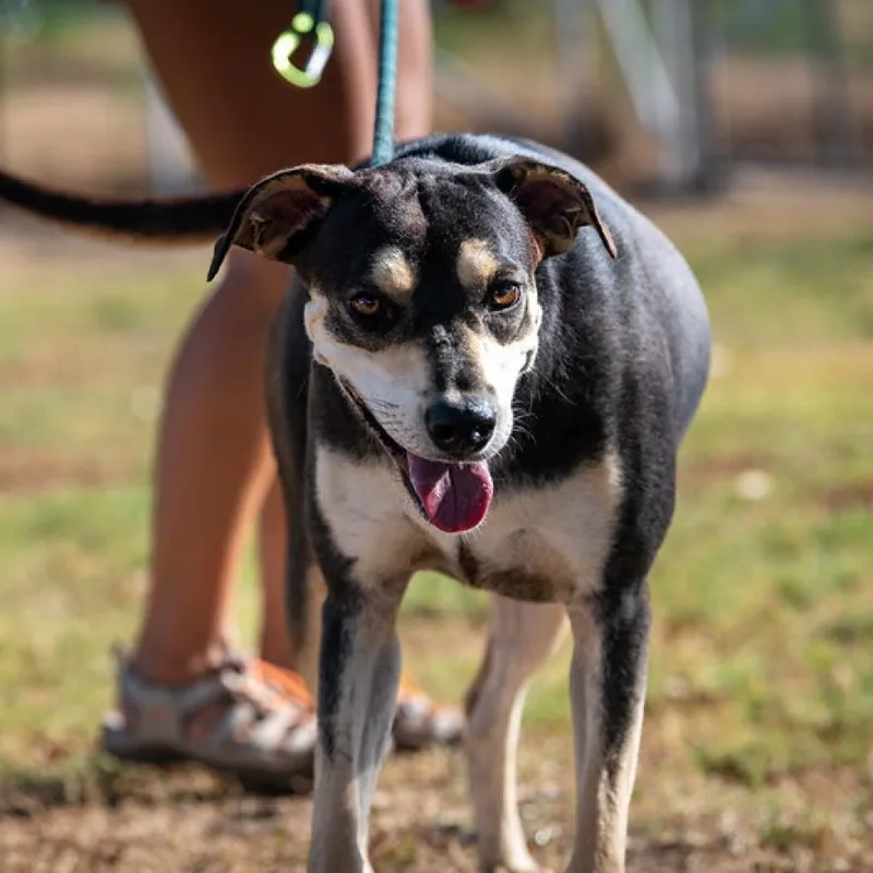 Hilda Jum thumbnail 6