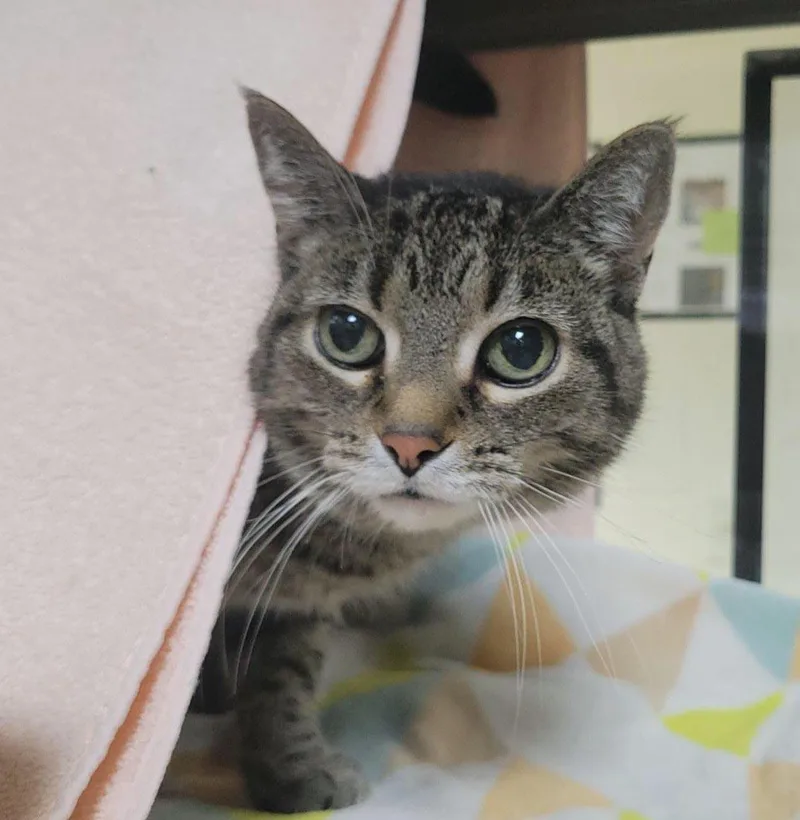 Minnie thumbnail 3