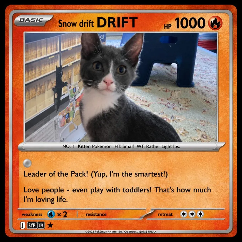 Drift C thumbnail 2