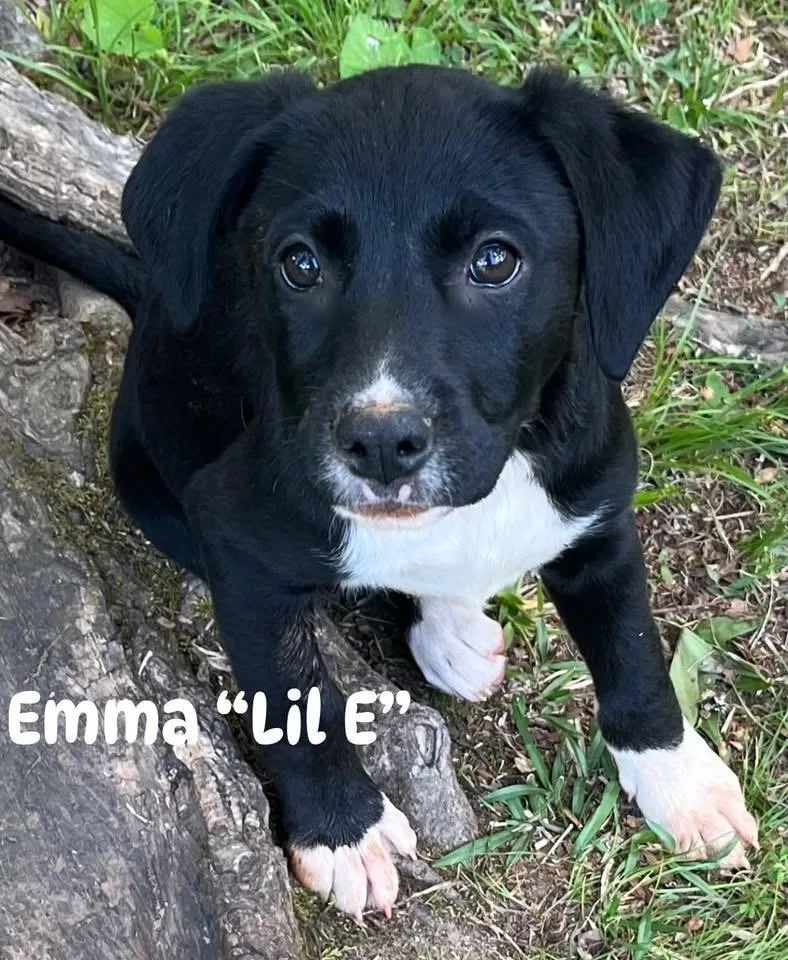 Emma “lil E”  thumbnail 2