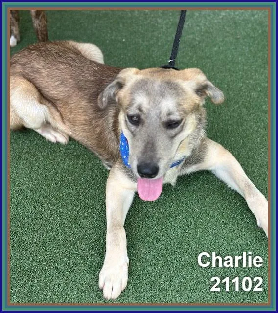 Charlie